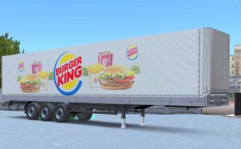 Truckers of Europe 3 Skin Curtainside Trailer.
